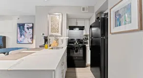 Cozy Efficiency Studios Close to Downtown and Domain - Image 5