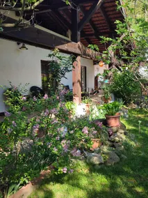 Pensiunea La Dolce Vita - Image 4