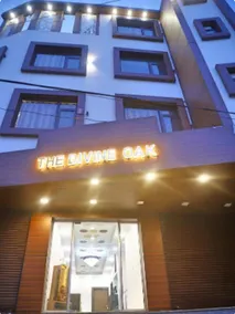 The Divine Oak - Image 1