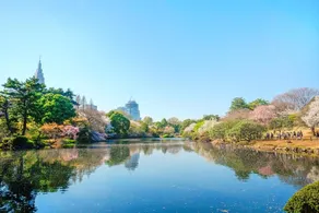 Chatterai Yoyogi Daiichi # 401 / Vacation STAY 7599 - Image 3