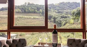 Vinicola e Pousada Peculiare - Image 4