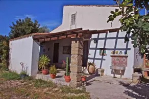 La ginestra - Image 5
