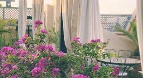 Riad of The Light - Image 4