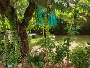 Royal Garden Stay - Image 5