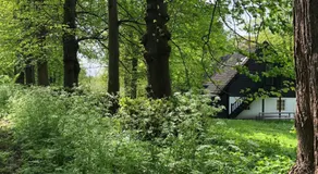 Het Witte Kasteel - Image 4