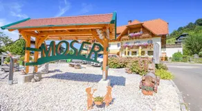 Alpengasthof Moser - Image 4