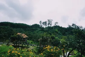 Du An Garden Forest Retreat - Image 4