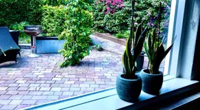 De Drie Beuken - Image 5