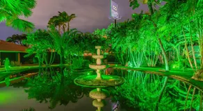 Dreams Motel (Adult Only) - Image 2