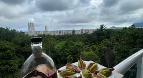 Aua residencial - Image 4