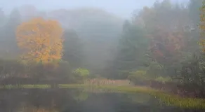 Franklyn Farm Inn - Image 5