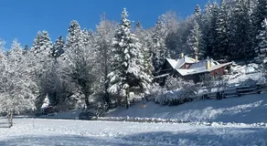 Holiday Home Tonkina kuća - Image 4