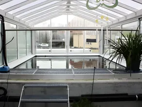 Hotel Koi-Gartenteich - Image 3