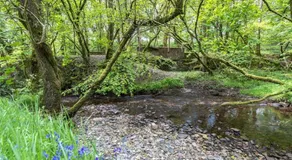 Pembrokeshire Yurts - Badger - Image 3