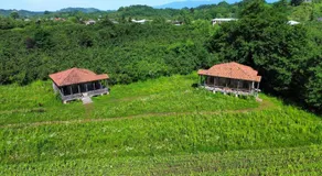 Thea's Ethnographic Guest House - Image 5