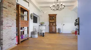 Knutzenswarft - Treibholz - Image 5