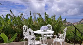 Quinta Tallinus - Image 3