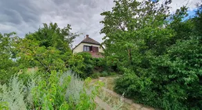 Holiday home in Siofok - Balaton 43123 - Image 5