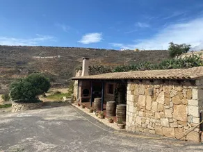 Rural Finca Casa Del Olivo in Arico Tenerife South - Image 2