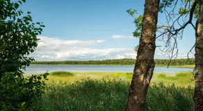 Vudila saunamaja - Image 1