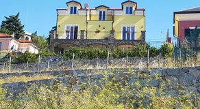 Verde Mare - Image 5