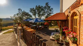 Guest House Vila Djokic - Image 3