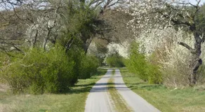 Schmidts Naturhof - Image 4