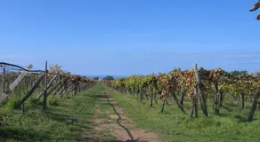 Il Canto di Kokopelli Country Houses - Image 5