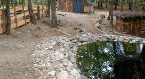 Roulotte avec piscine la jonquille - Image 5