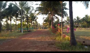 Guhagar's Pride Ekaant A Socially Distant HomeStay - Image 3
