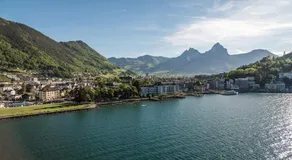 AlpinRetro-Apartment I Stylisch & zentral I See & Berge I Luzern I Zürich I Stoos I Rigi - Image 4