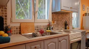 The Tiny House of the Lemon Tree - Image 3
