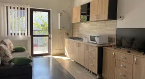 Magurele Apartments - Image 3