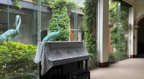 Nook Farm - Image 5