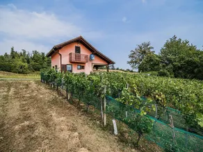 Holiday Home Vesna with Sauna - Image 5