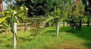 Ideal Villa in Vila Nova de Famalicão with Private Pool - Image 3