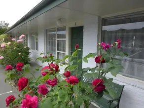 Ilam Motel - Image 5