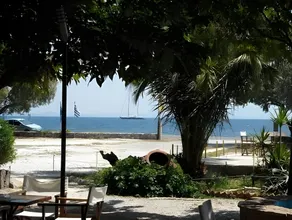 Ionos - Image 4