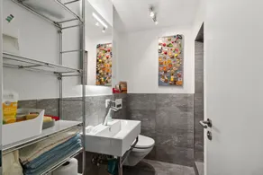 VK - Zurich Airport - Homestay - Villa Bänikon - Image 5