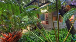 Chambers Wildlife Rainforest Lodges - Image 2