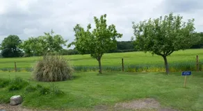 Woodview B Colchester - Image 2