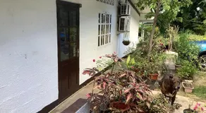 Bora Red Hibiscus Lodge - Image 3