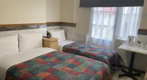 The Belgrove Hotel - Image 2