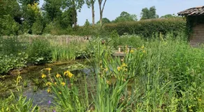 B&B Pastorie Jelsum - Image 5