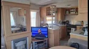 Sherwood golden palm - Image 4