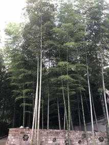 Hengyang Yanyuan Homestay - Image 4