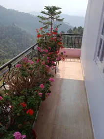 Hotel O Home 810612 Satyam Home Stay Kasauli Dharampur - Image 5