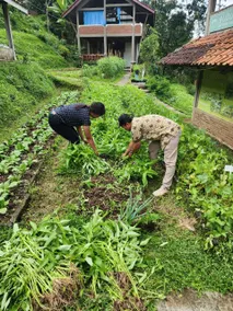 Menoreh Farm Stay Samigaluh Kulonprogo - Image 4