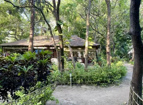 The DIVEResort and Dancing Dugong Cafe - Image 4