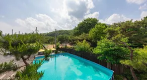 Yangpyeong Green Clover - Image 5